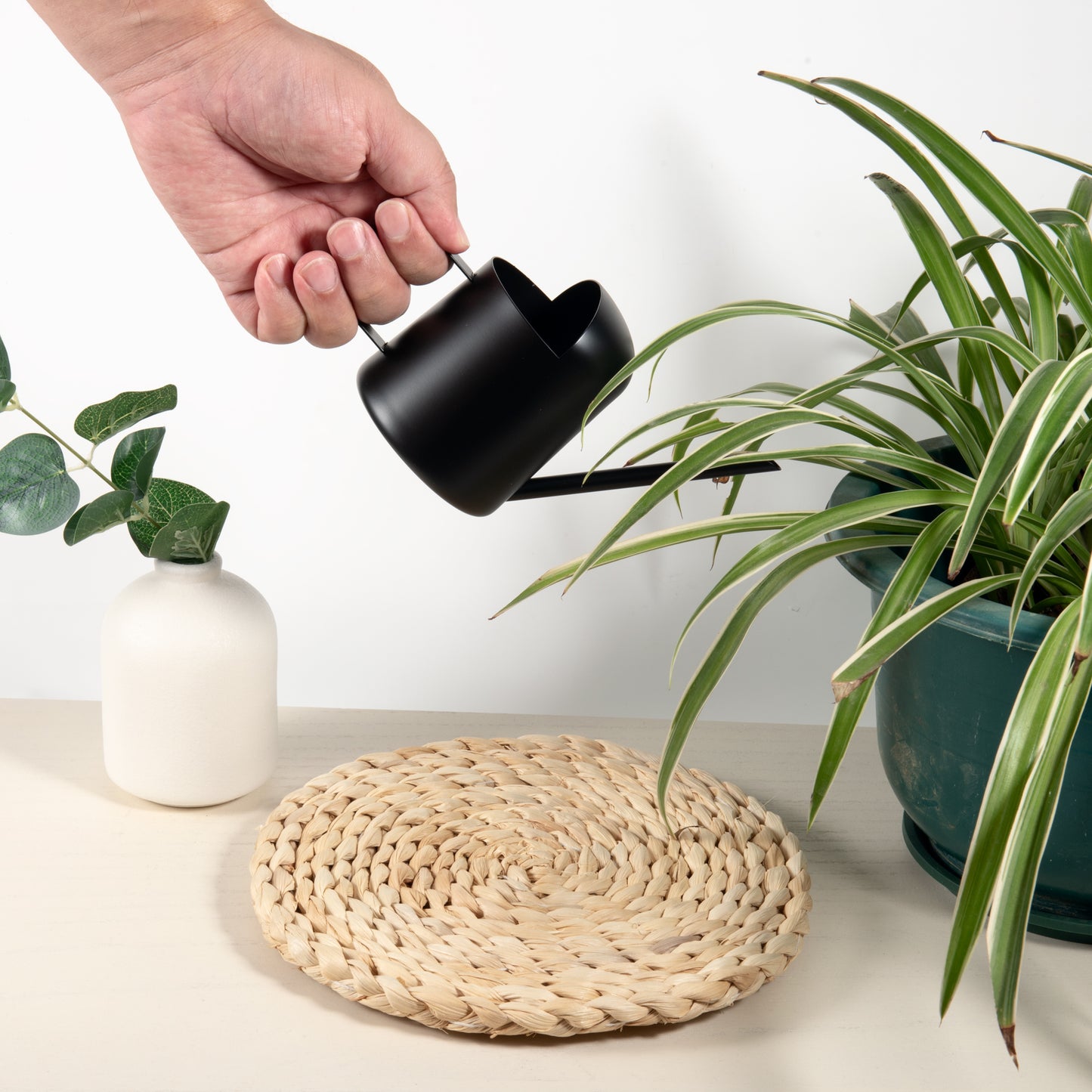 IMEEA Tiny Watering Can for Indoor Plants Bonsai Tree Stainless Steel Small Watering Can Succulents, 11Oz/300Ml