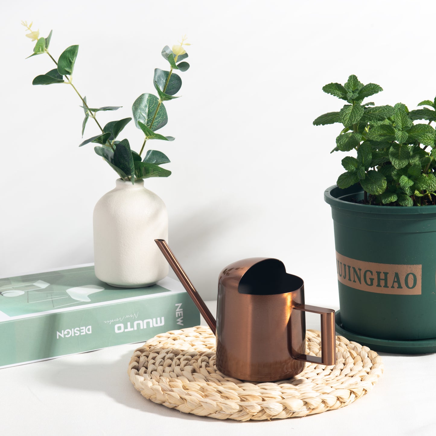 IMEEA Tiny Watering Can for Indoor Plants Bonsai Tree Stainless Steel Small Watering Can Succulents, 11Oz/300Ml