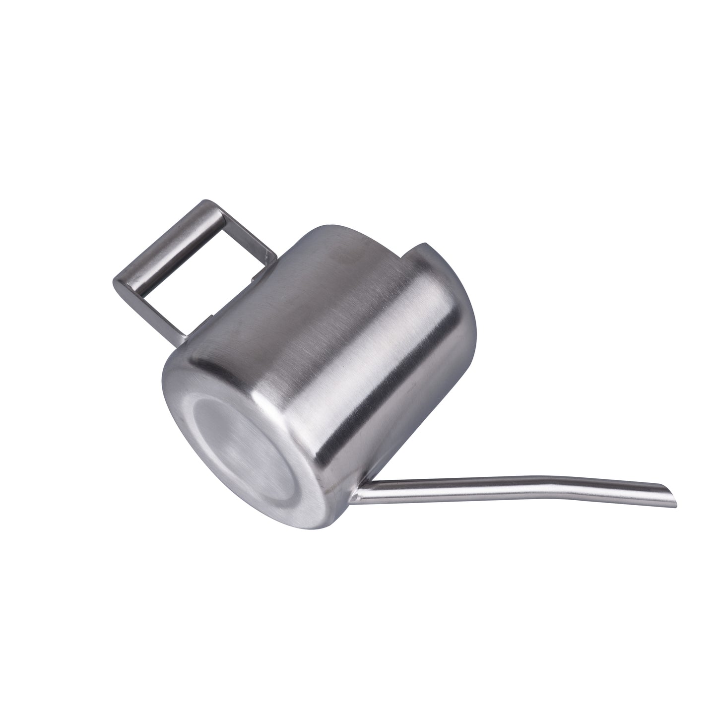 IMEEA Tiny Watering Can for Indoor Plants Bonsai Tree Stainless Steel Small Watering Can Succulents, 11Oz/300Ml