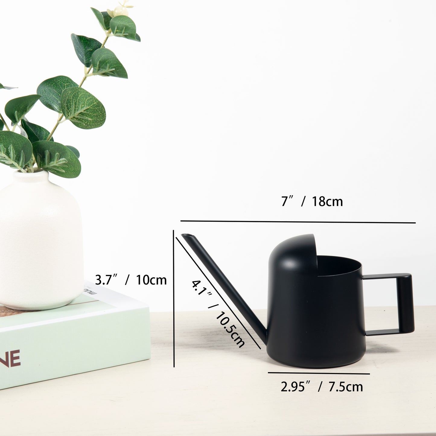 IMEEA Tiny Watering Can for Indoor Plants Bonsai Tree Stainless Steel Small Watering Can Succulents, 11Oz/300Ml