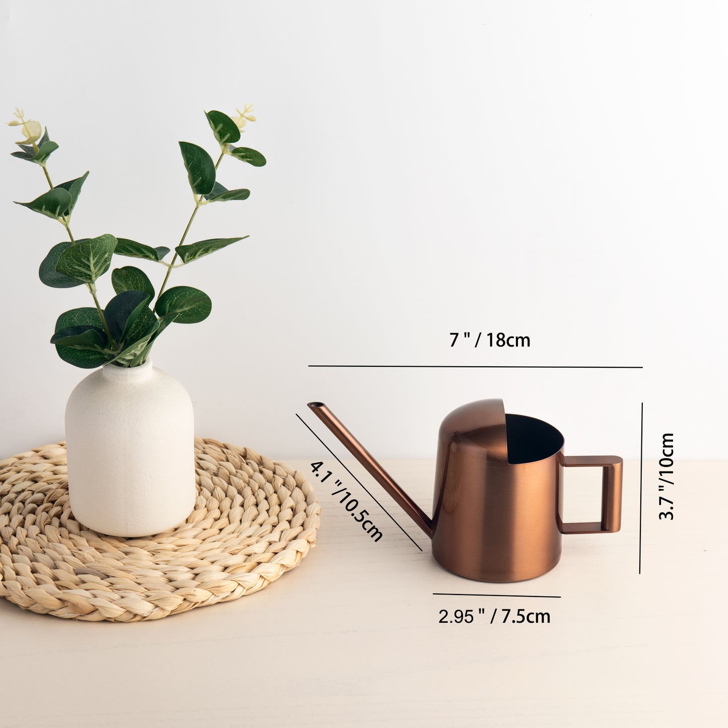 IMEEA Tiny Watering Can for Indoor Plants Bonsai Tree Stainless Steel Small Watering Can Succulents, 11Oz/300Ml