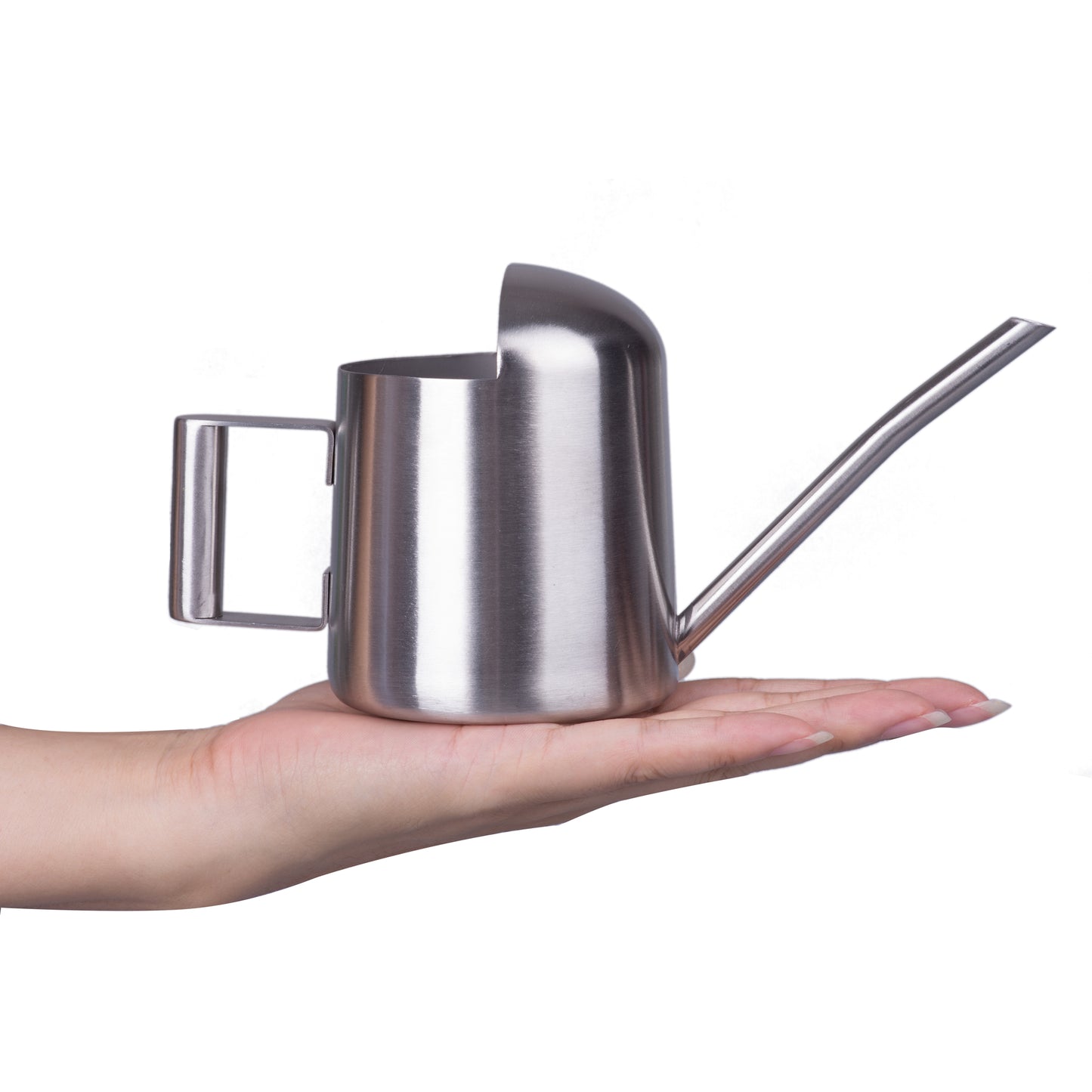 IMEEA Tiny Watering Can for Indoor Plants Bonsai Tree Stainless Steel Small Watering Can Succulents, 11Oz/300Ml