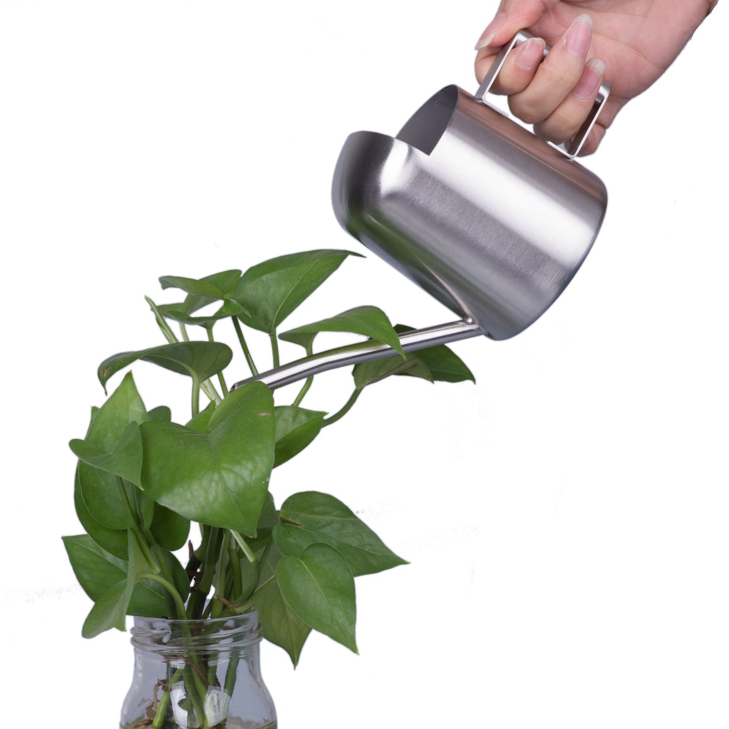 IMEEA Tiny Watering Can for Indoor Plants Bonsai Tree Stainless Steel Small Watering Can Succulents, 11Oz/300Ml