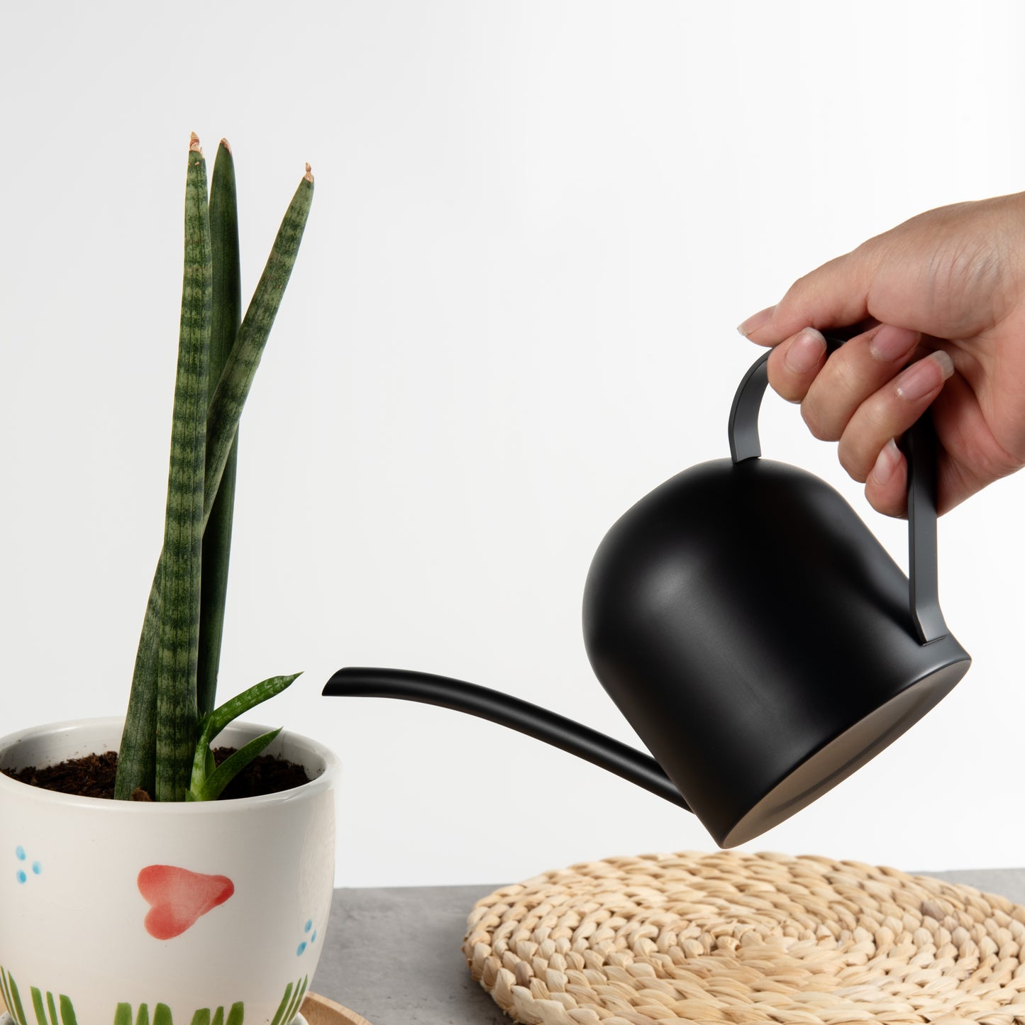 IMEEA Watering Can House Watering Can for Indoor Plants Orchid Bonsai Desk Office Stainless Steel Watering Can with Long Spout, 15Oz/450Ml