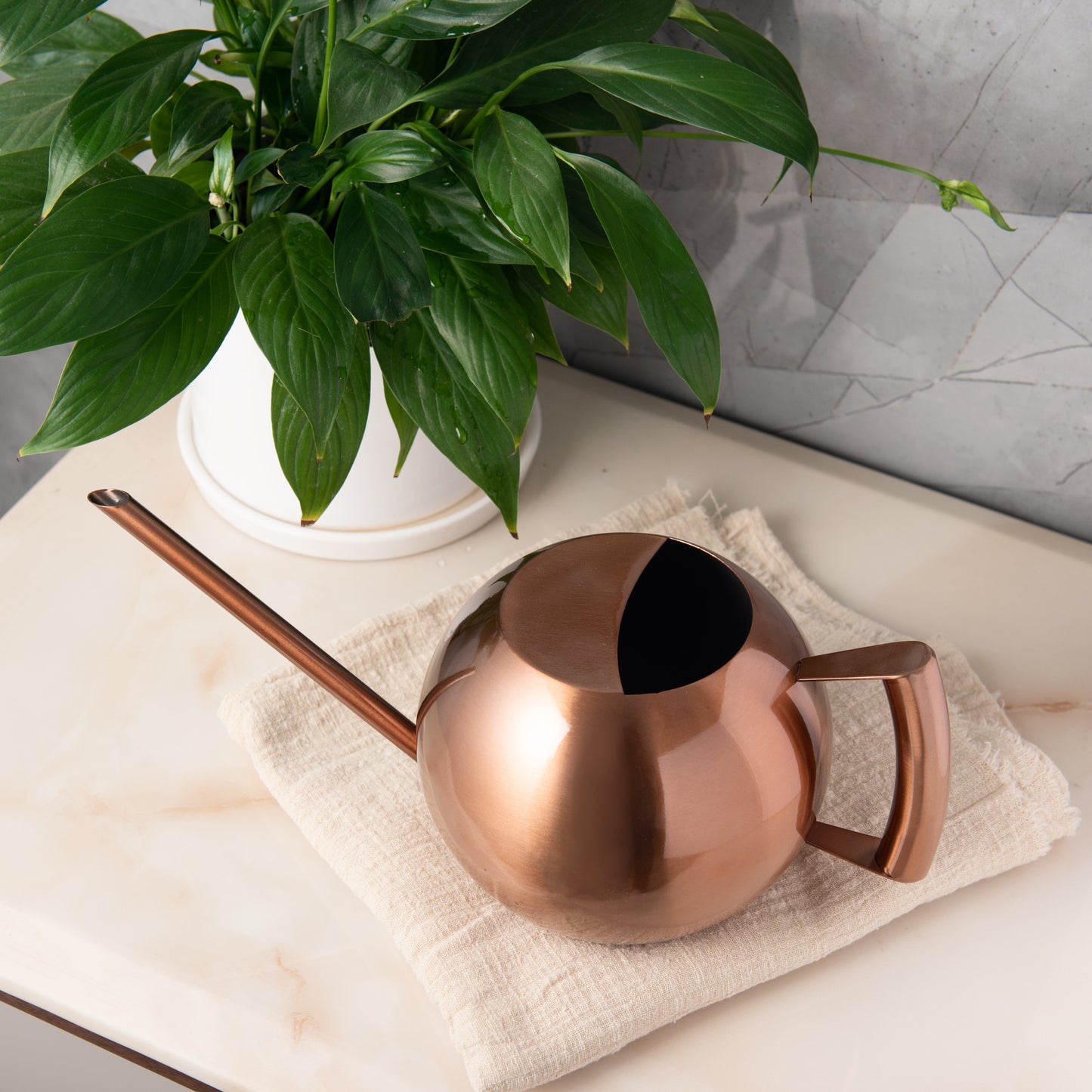 Copper Stainless Steel Watering Can close-up on tabletop