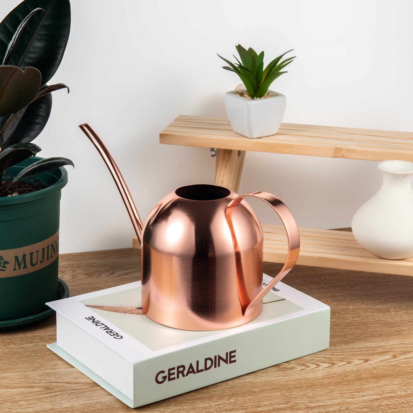 IMEEA Indoor Watering Can for House Plants Stainless Steel Watering Can Metal with Long Spout (33Oz/1L) - IMEEAwatering can