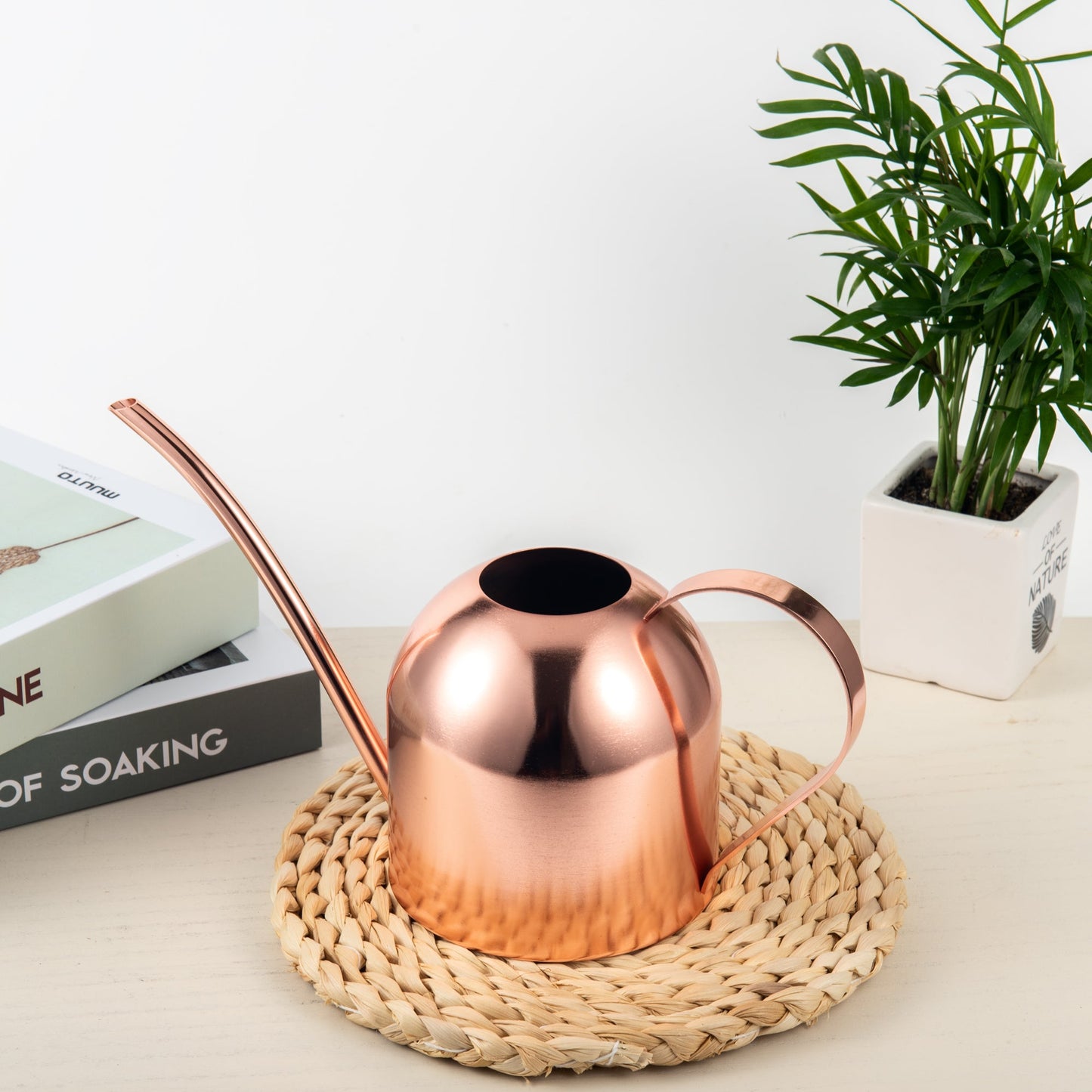 IMEEA Indoor Watering Can for House Plants Stainless Steel Watering Can Metal with Long Spout (33Oz/1L) - IMEEAwatering can