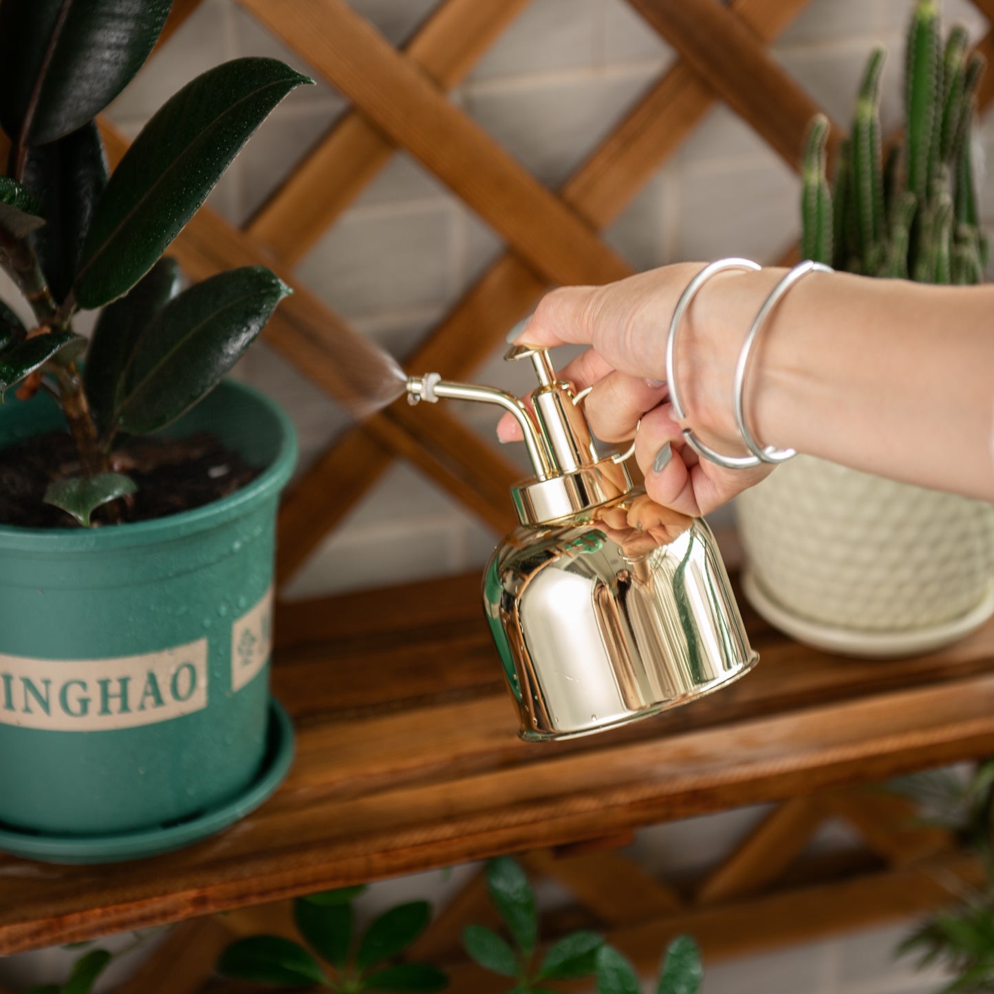 IMEEA Mini Plant Mister Spray Bottle SUS304 Stainless Steel Spritzer Watering Can with Top Pump for Indoor Succulents Orchids Air Plants Garden, 10oz/300ml
