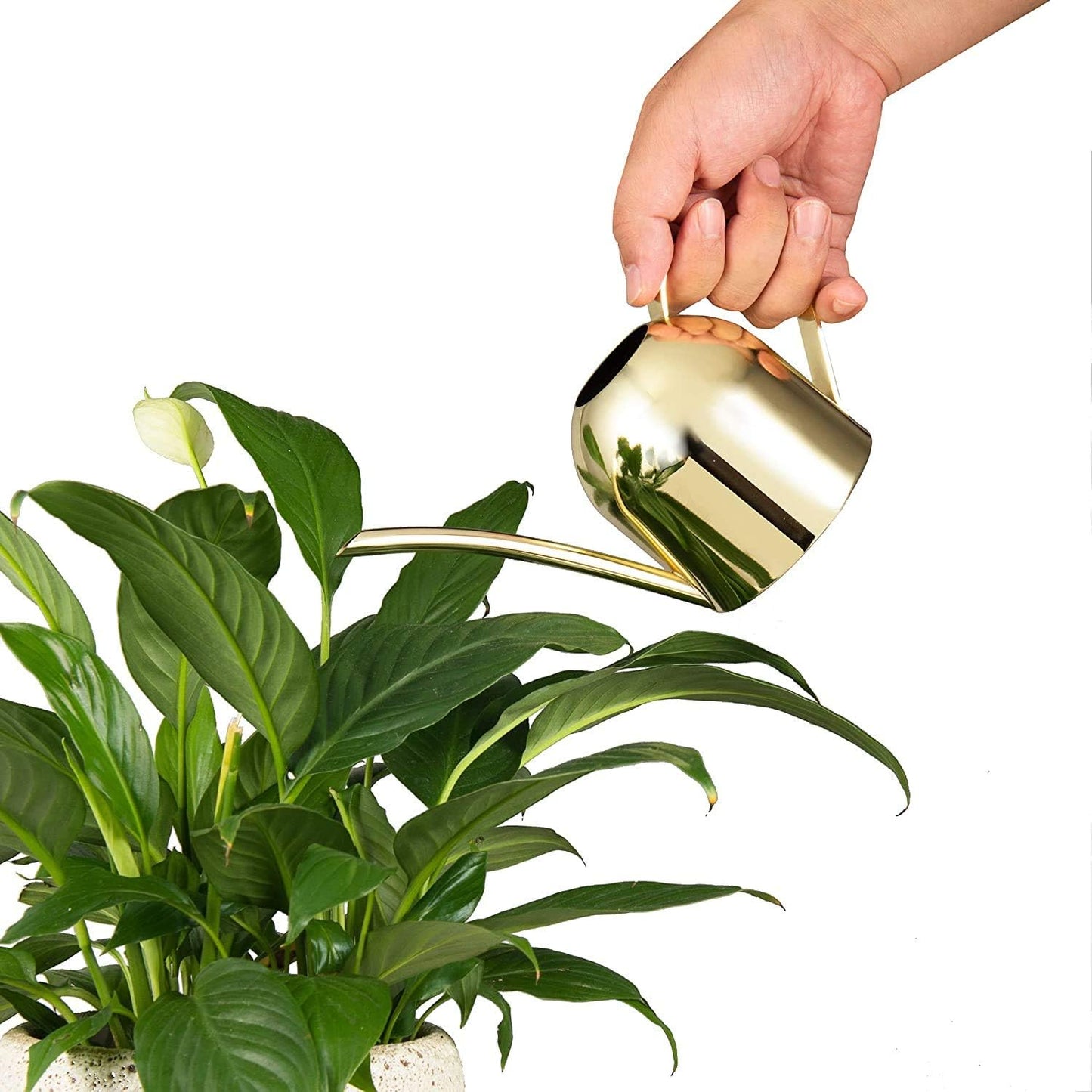 Gold Watering Can House Watering Can for Indoor Plants Orchid Bonsai Desk Office Stainless Steel Watering Can with Long Spout, 15Oz/450Ml
