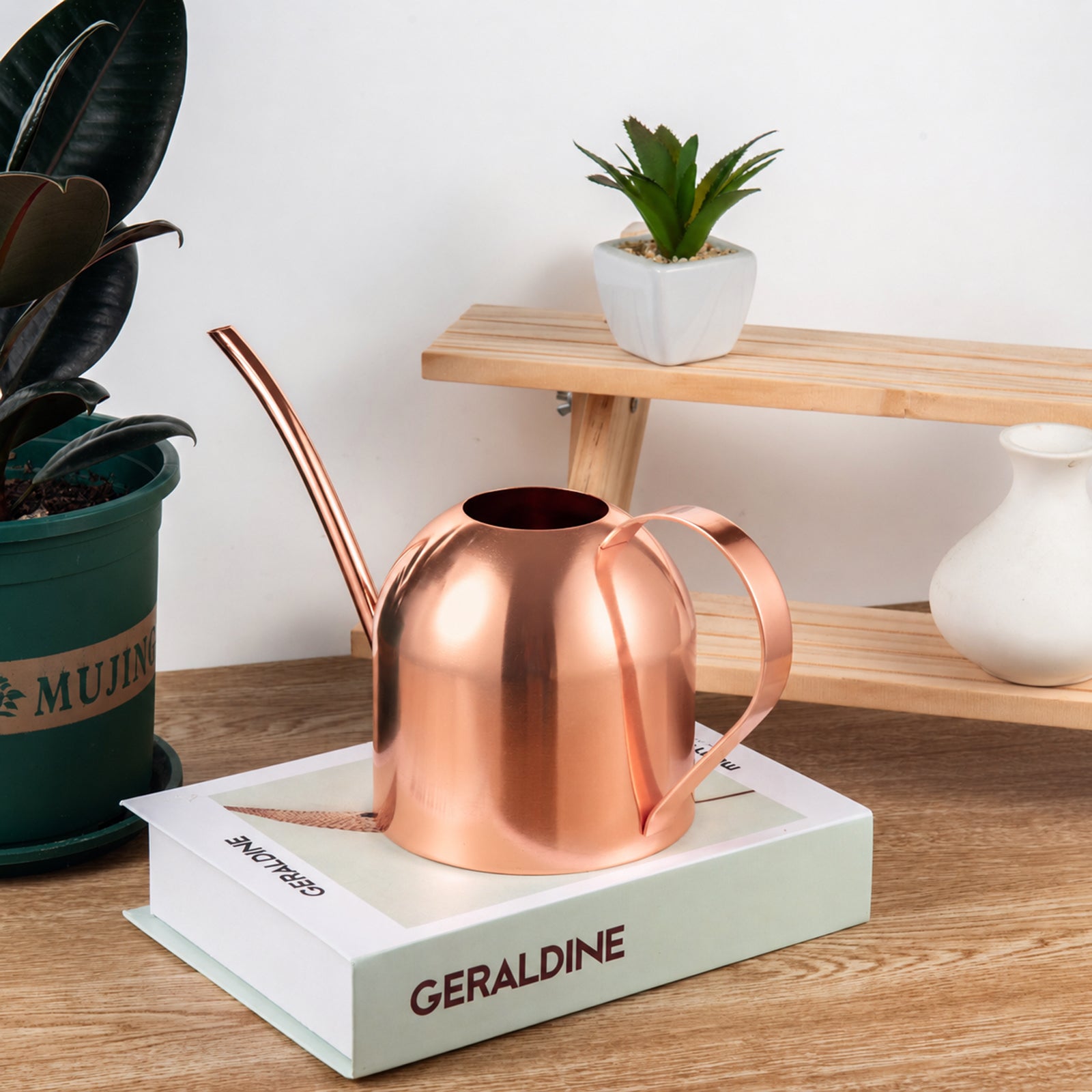 Elegant IMEEA Rose Gold Indoor Plant Watering Can Stainless Steel displayed on an indoor table