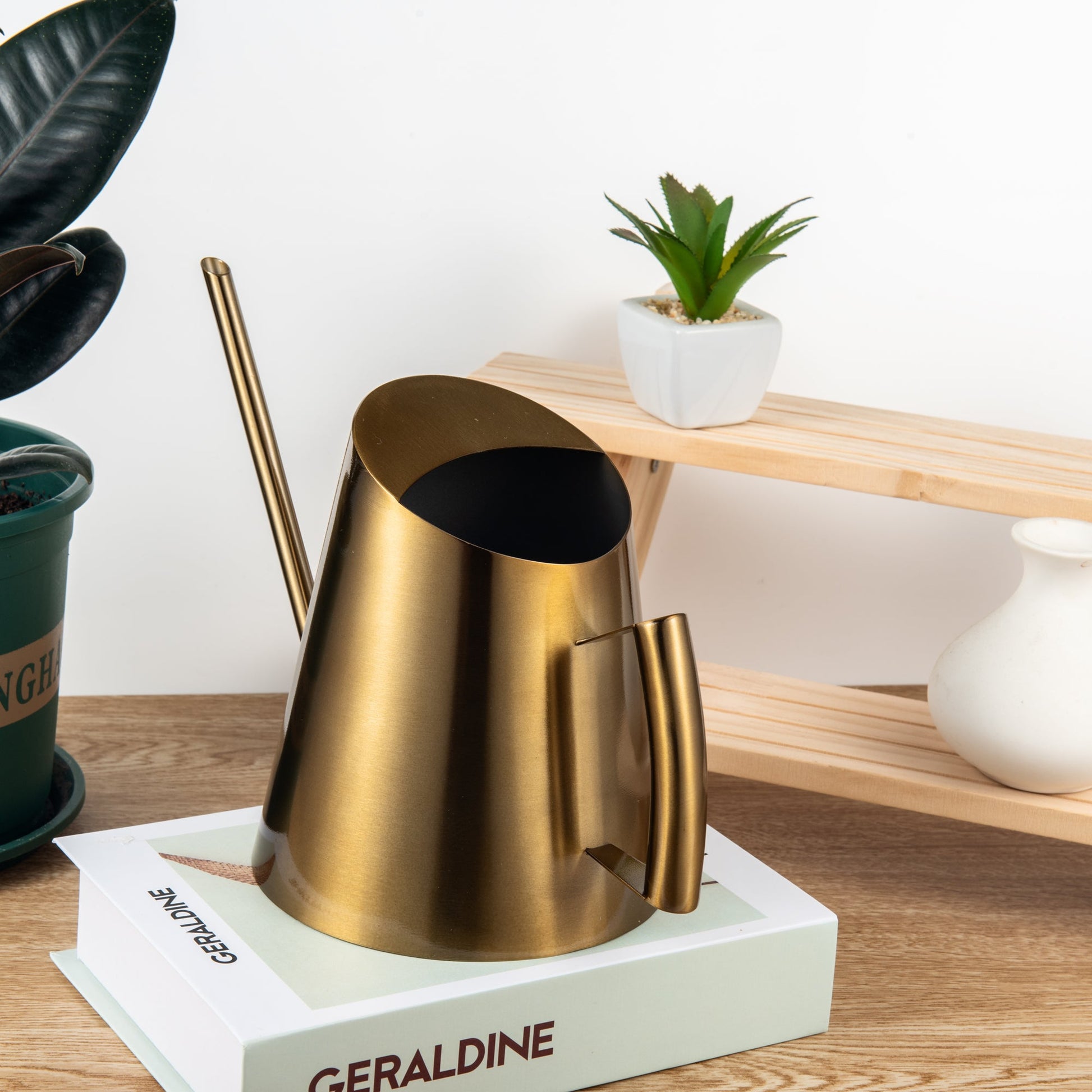 Modern IMEEA brass finish stainless steel watering can displayed on an indoor table with small plants