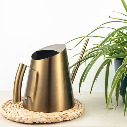 Compact IMEEA brass finish stainless steel watering can beside small indoor plants