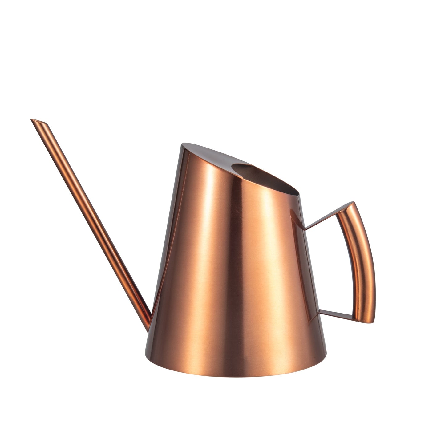 IIMEEA Stainless Steel Indoor Watering Can with Long Spout, 50oz