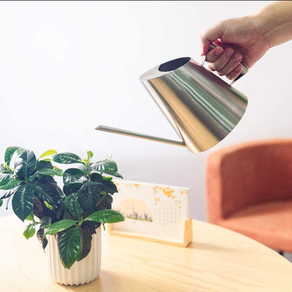 IMEEA stainless steel watering can held in hand watering a small indoor plant