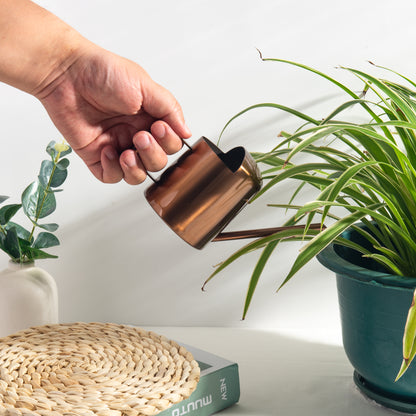 Copper Stainless Steel Watering Can with long spout delivering precise watering to hanging plants