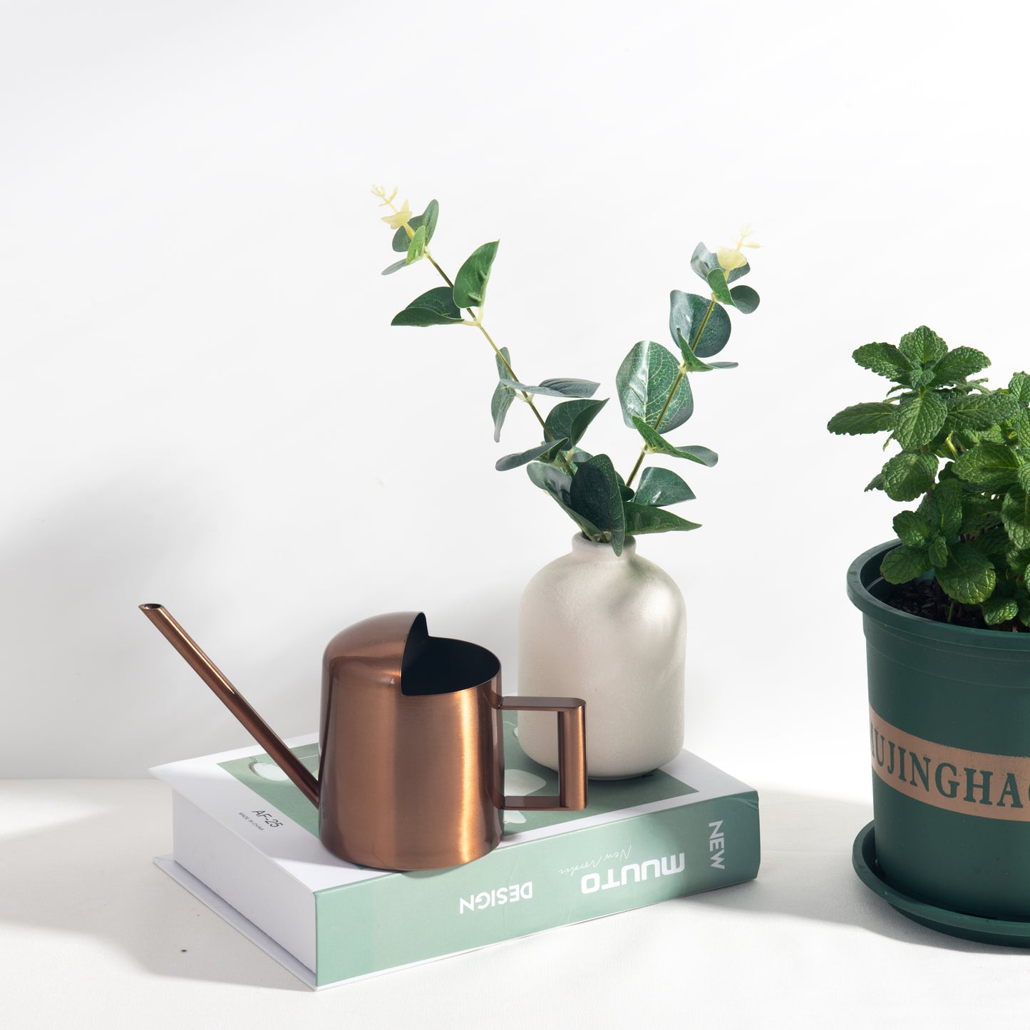 Mini Stainless Steel Watering Can with long spout design beside a small vase for indoor plants