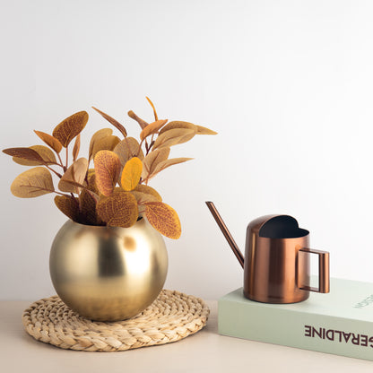Copper Stainless Steel Watering Can displayed indoors, showcasing its elegant minimalist design and refined finish
