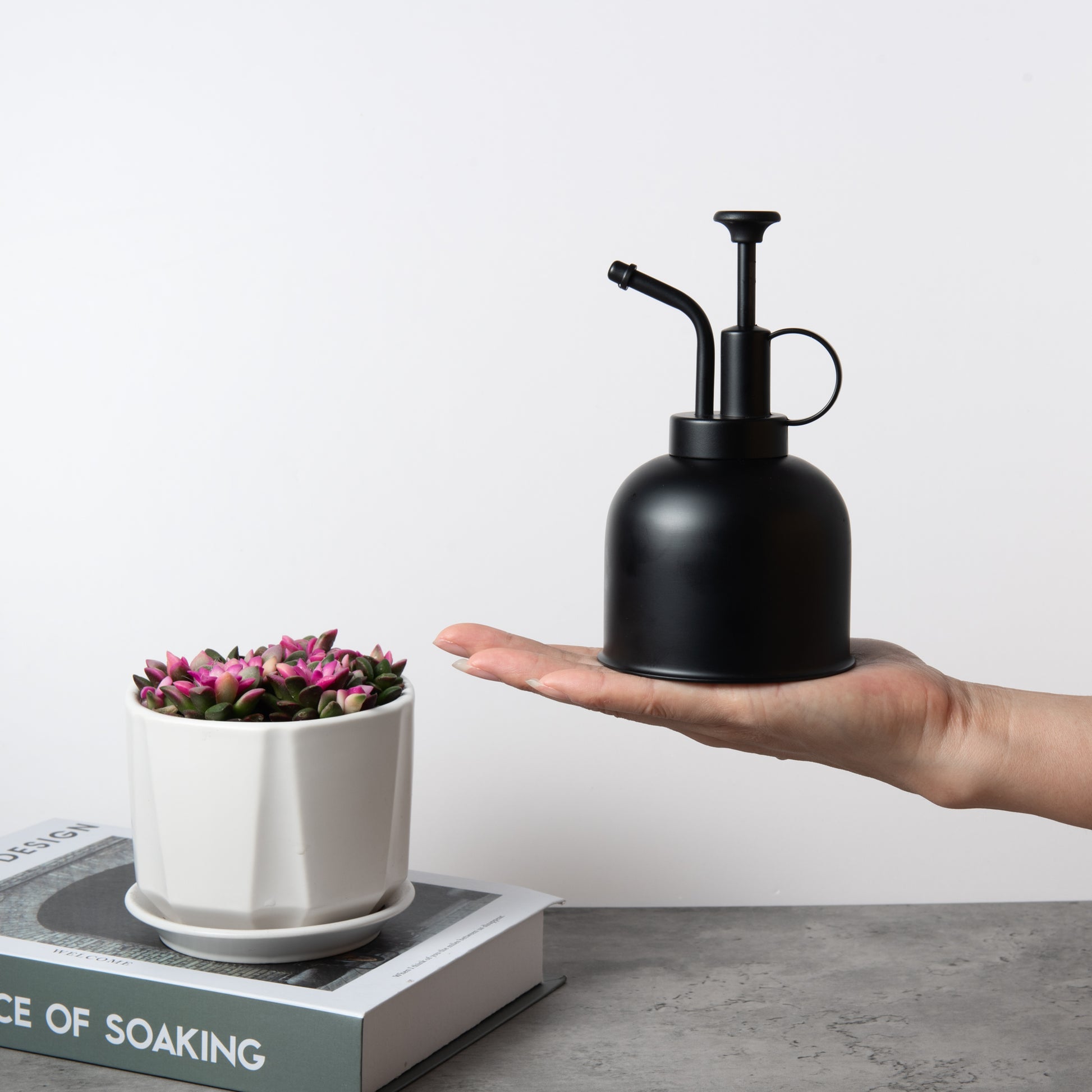 Sleek black plant mister in palm, highlighting compact size