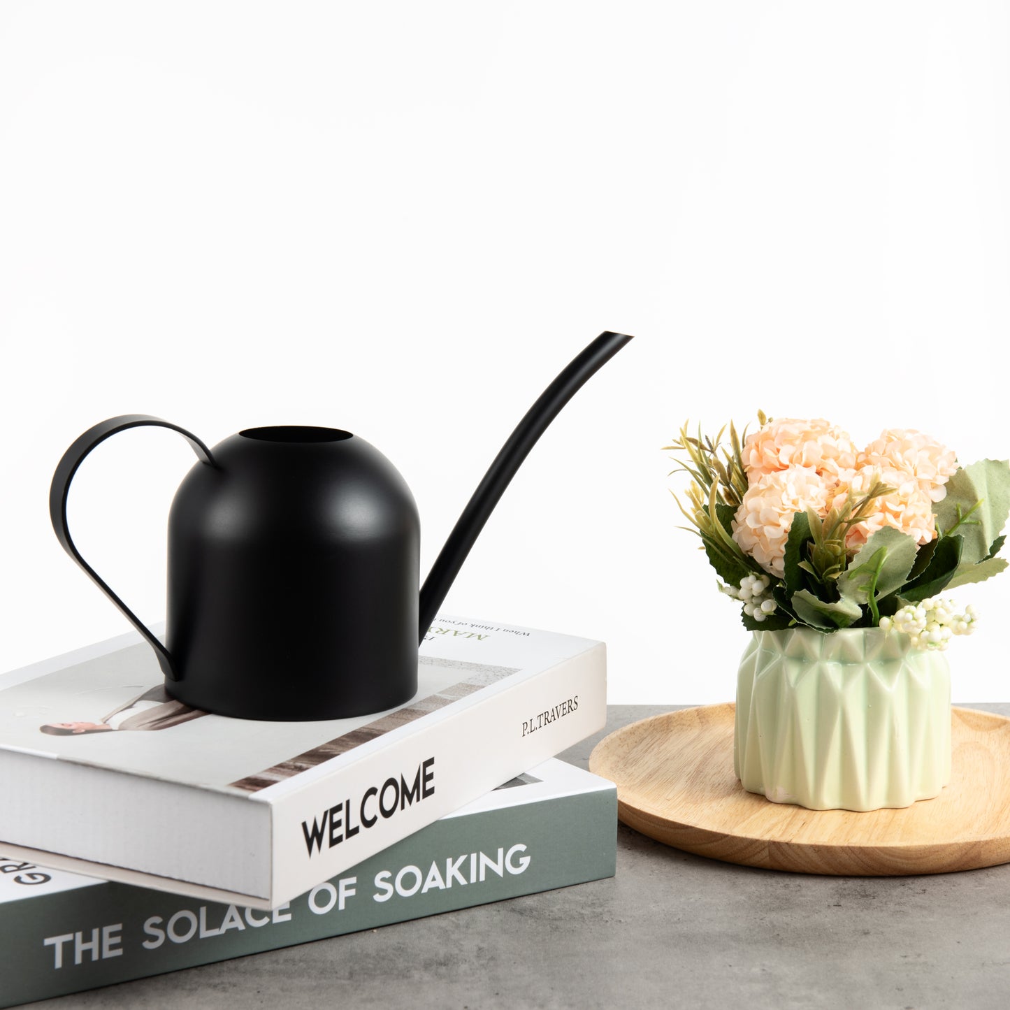 Black Mini Stainless Steel Watering Can adding a simple and practical touch to indoor plant care spaces