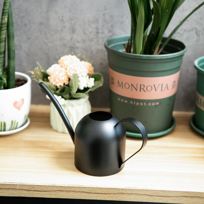 Black Mini Plant Watering Can with long spout for accurate watering of small indoor plants