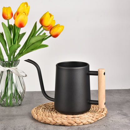 Black Stainless Steel Indoor Plant Watering Pot placed on indoor tabletop