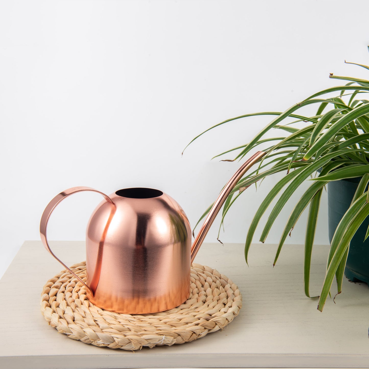 Small Indoor Watering Can Rose Gold Stainless Steel 33oz displayed on an indoor table