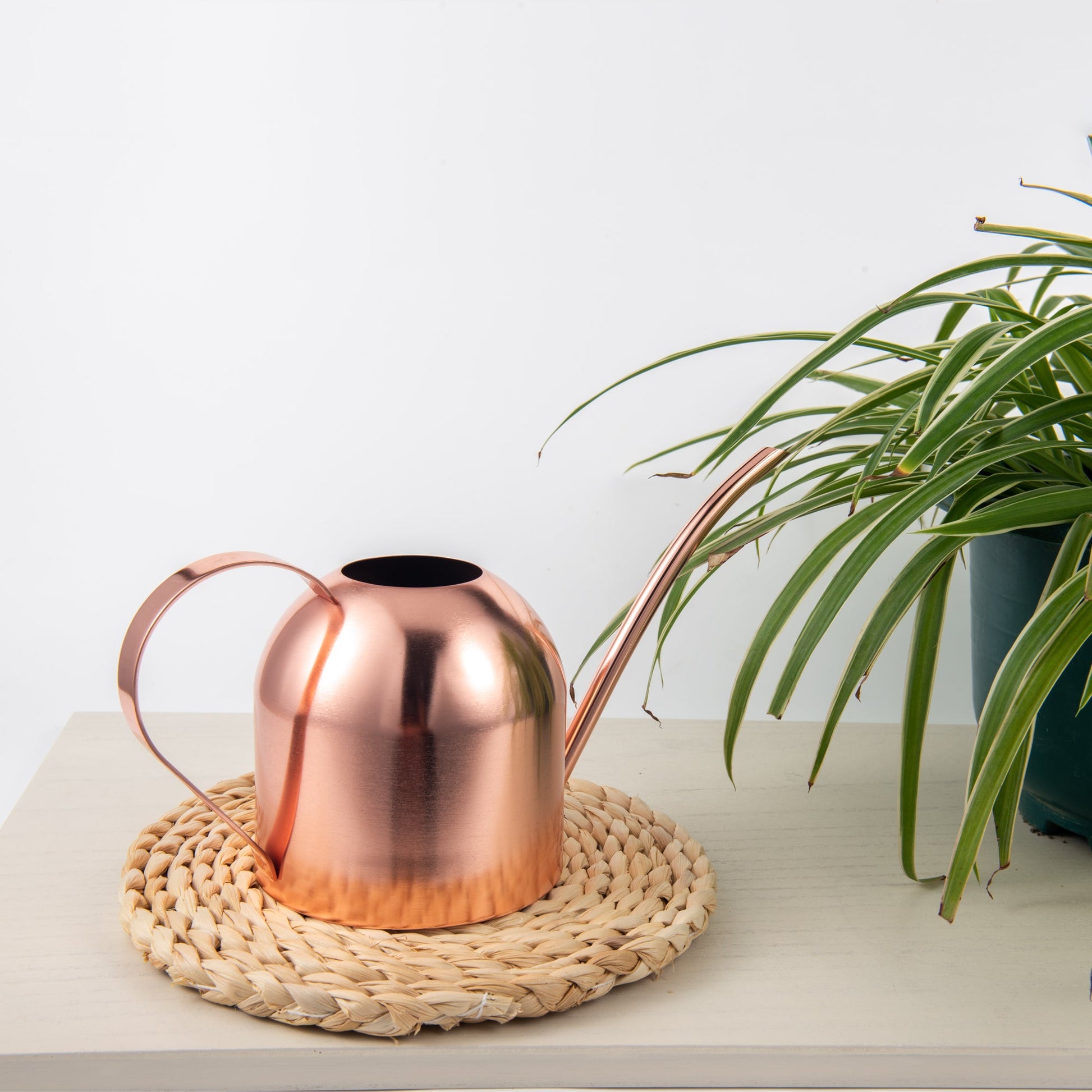 Small Indoor Watering Can Rose Gold Stainless Steel 33oz displayed on an indoor table