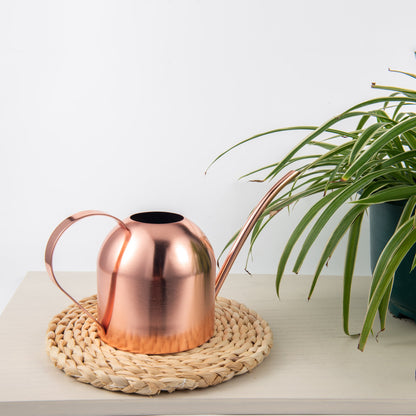 Small Indoor Watering Can Rose Gold Stainless Steel 33oz displayed on an indoor table