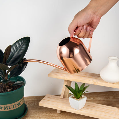 IMEEA Rose Gold Stainless Steel Indoor Watering Can 33oz watering houseplants