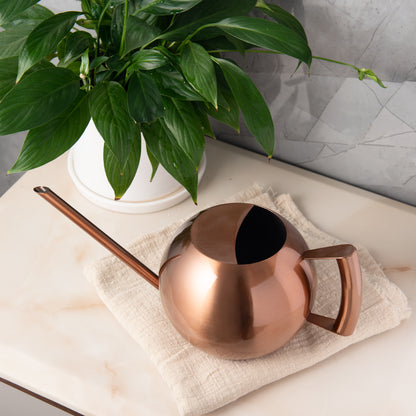 Copper Stainless Steel Watering Can close-up on tabletop