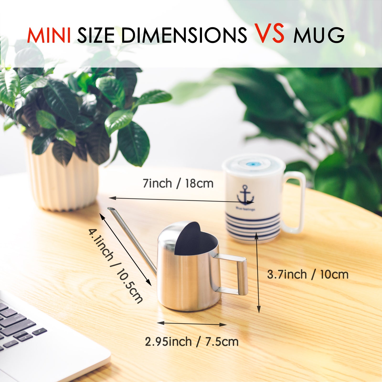 Stainless Steel Watering Can with detailed measurements for overall size and bottom diameter