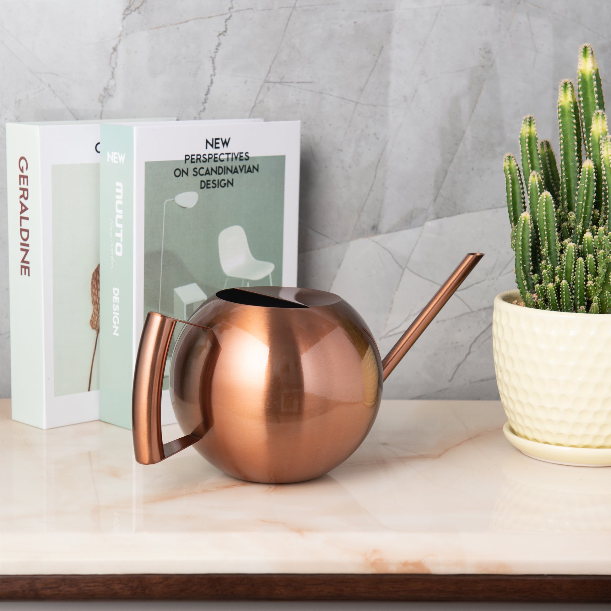 Copper Stainless Steel Watering Can placed on indoor tabletop
