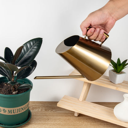 IMEEA brass finish stainless steel watering can with semi-open top design watering a small plant