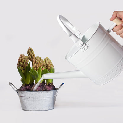 IMEEA 3.2L Metal Watering Can with Removable Spout Galvanized Steel Watering Can for Indoor and Outdoor Plants - IMEEAwatering can