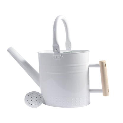 IMEEA 3.2L Metal Watering Can with Removable Spout Galvanized Steel Watering Can for Indoor and Outdoor Plants - IMEEAwatering can