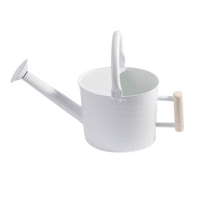 IMEEA 3.2L Metal Watering Can with Removable Spout Galvanized Steel Watering Can for Indoor and Outdoor Plants - IMEEAwatering can