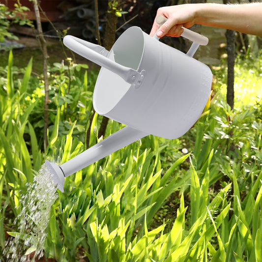 IMEEA 3.2L Metal Watering Can with Removable Spout Galvanized Steel Watering Can for Indoor and Outdoor Plants - IMEEAwatering can