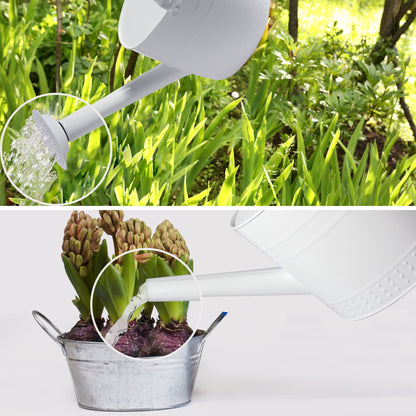 IMEEA 3.2L Metal Watering Can with Removable Spout Galvanized Steel Watering Can for Indoor and Outdoor Plants - IMEEAwatering can