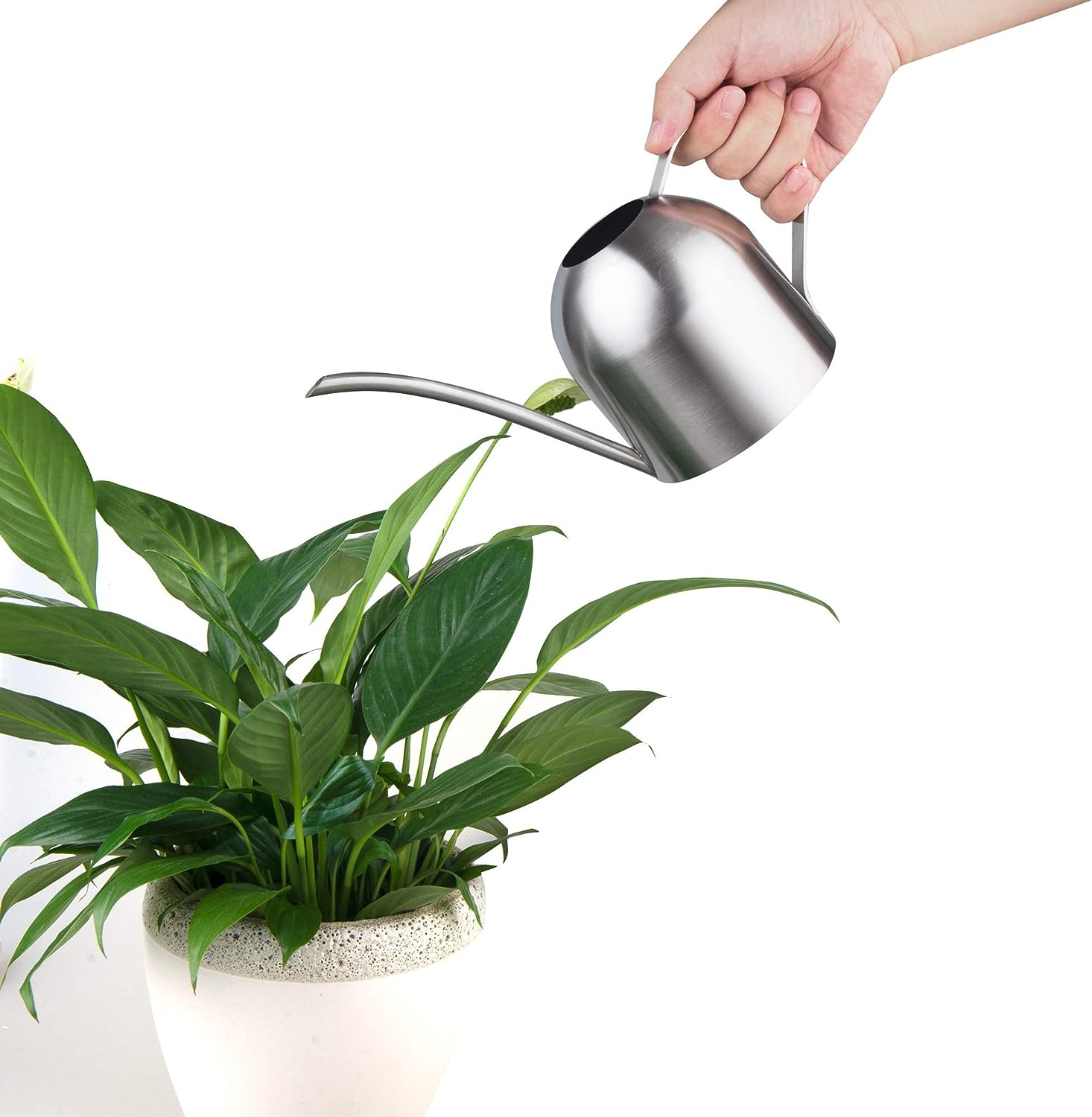 IMEEA Indoor Watering Can for House Plants Stainless Steel Watering Can Metal with Long Spout (33Oz/1L) - IMEEAwatering can