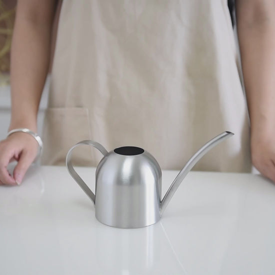 watering can indoor plants