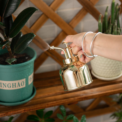 IMEEA Mini Plant Mister Spray Bottle SUS304 Stainless Steel Spritzer Watering Can with Top Pump for Indoor Succulents Orchids Air Plants Garden, 10oz/300ml