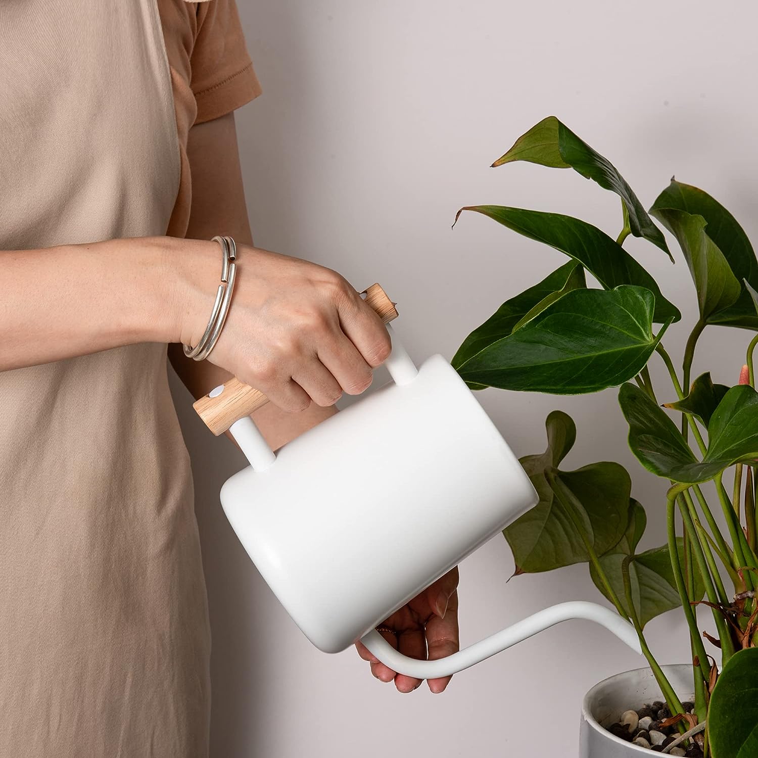 Small Watering Can for Indoor Plants 35Oz House Plants Watering Can Stainless Steel Watering Can with Long Spout and Comfortable Wooden Handle (White)