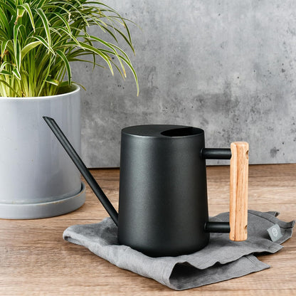 Watering Can for Indoor Plants Stainless Steel Modern Watering Can with Long Spout and Wooden Handle, 35Oz