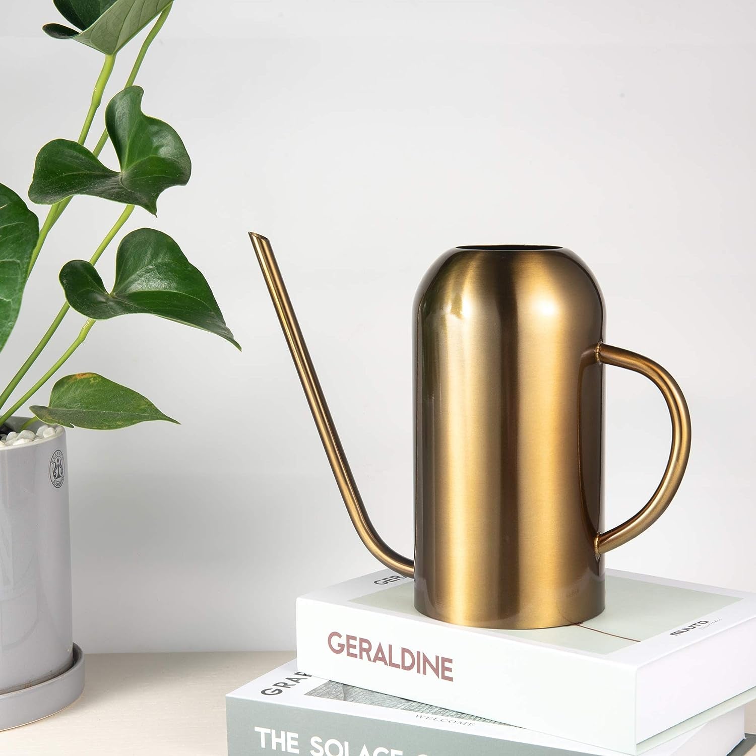 Modern Stainless Steel Indoor Watering Can with Smooth Shape and Rounded Handle