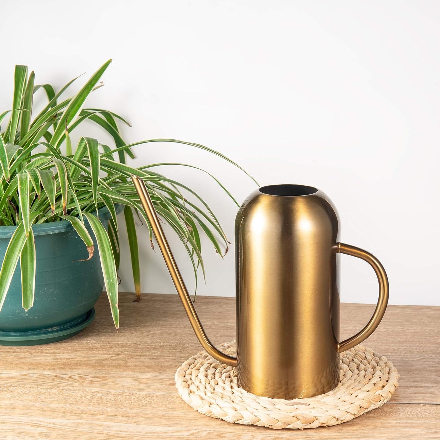 Precision Stainless Steel Indoor Watering Can with Long Spout placed in front of a spider plant
