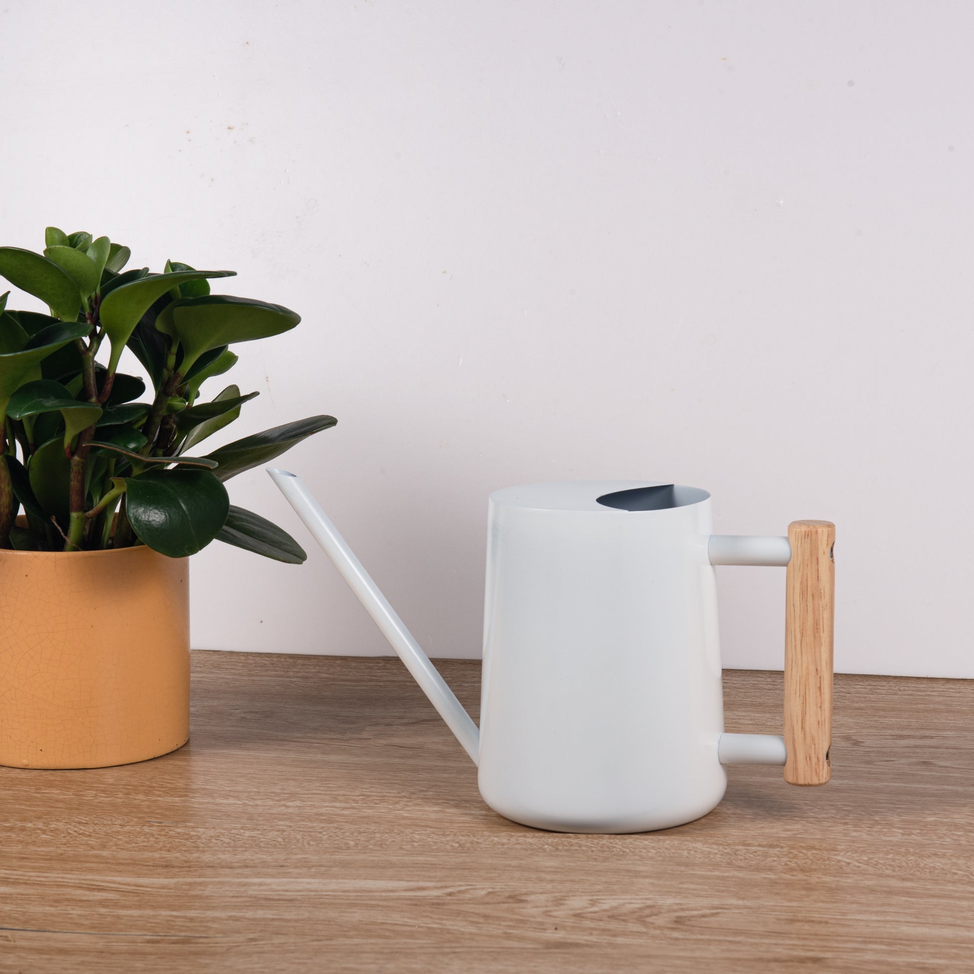 Elegant White Stainless Steel Watering Can with a modern design placed on an indoor table
