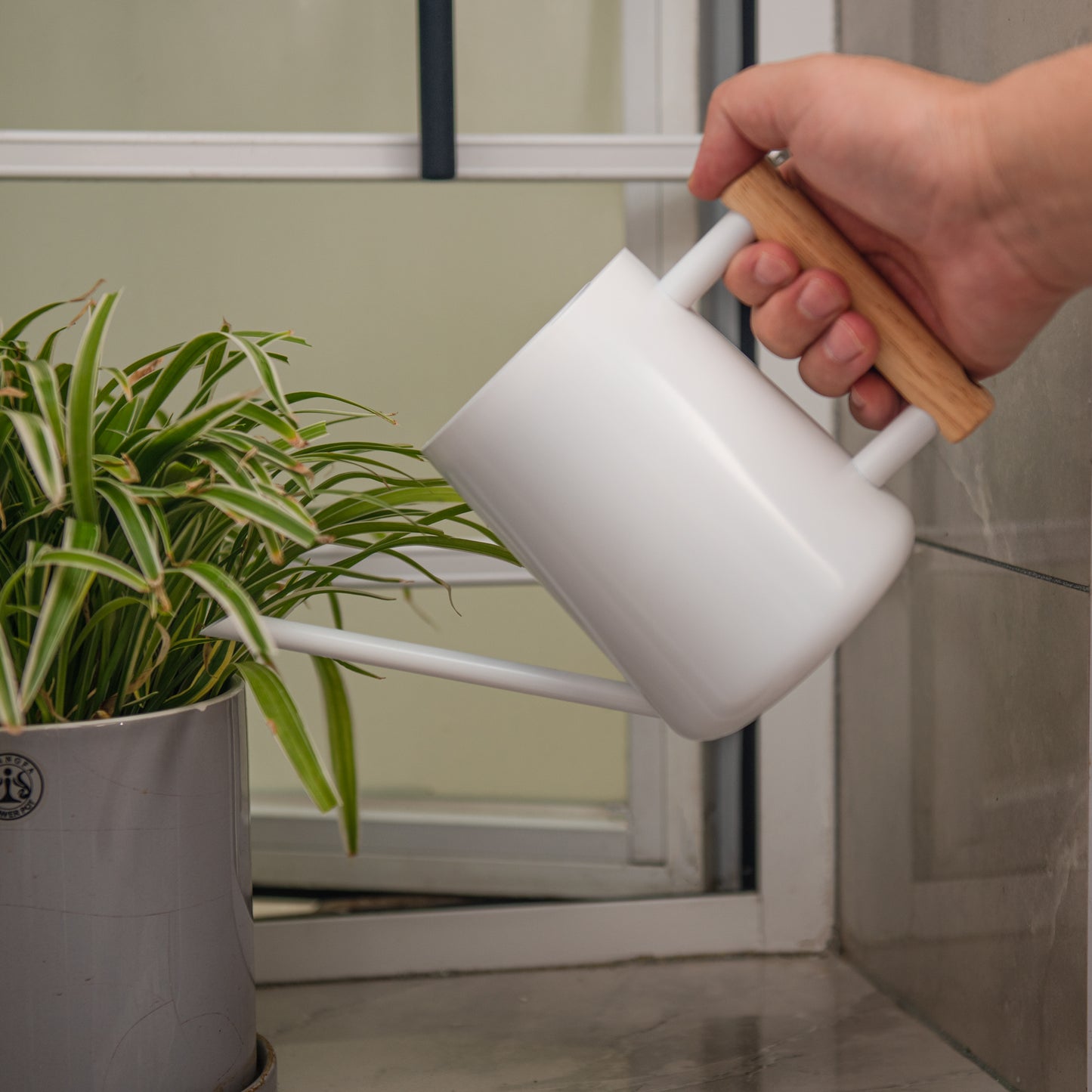Indoor Plant Watering Can in White Stainless Steel watering indoor plants