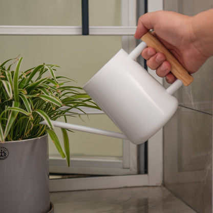 Indoor Plant Watering Can in White Stainless Steel watering indoor plants