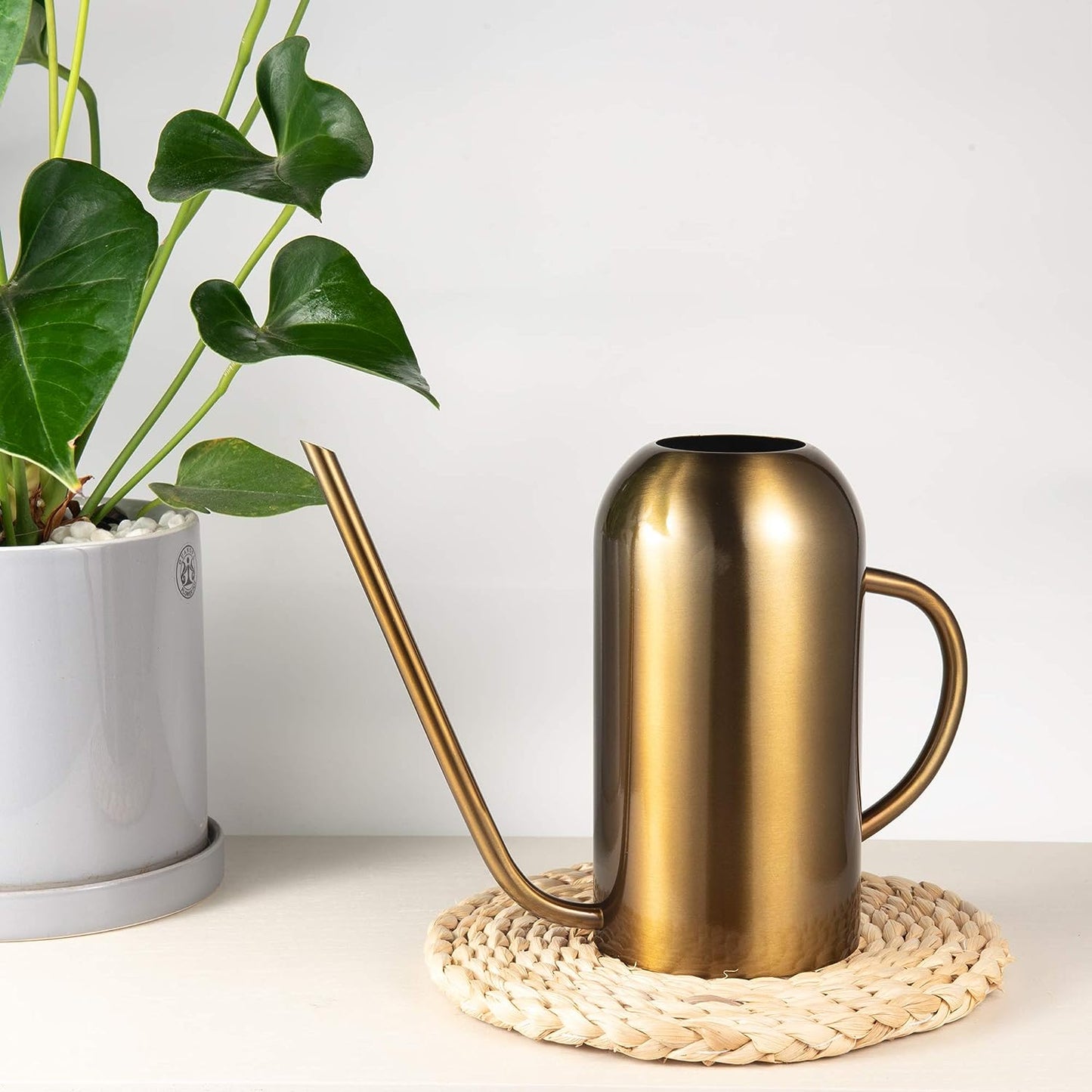 Minimalist IMEEA Stainless Steel Indoor Watering Can placed on table