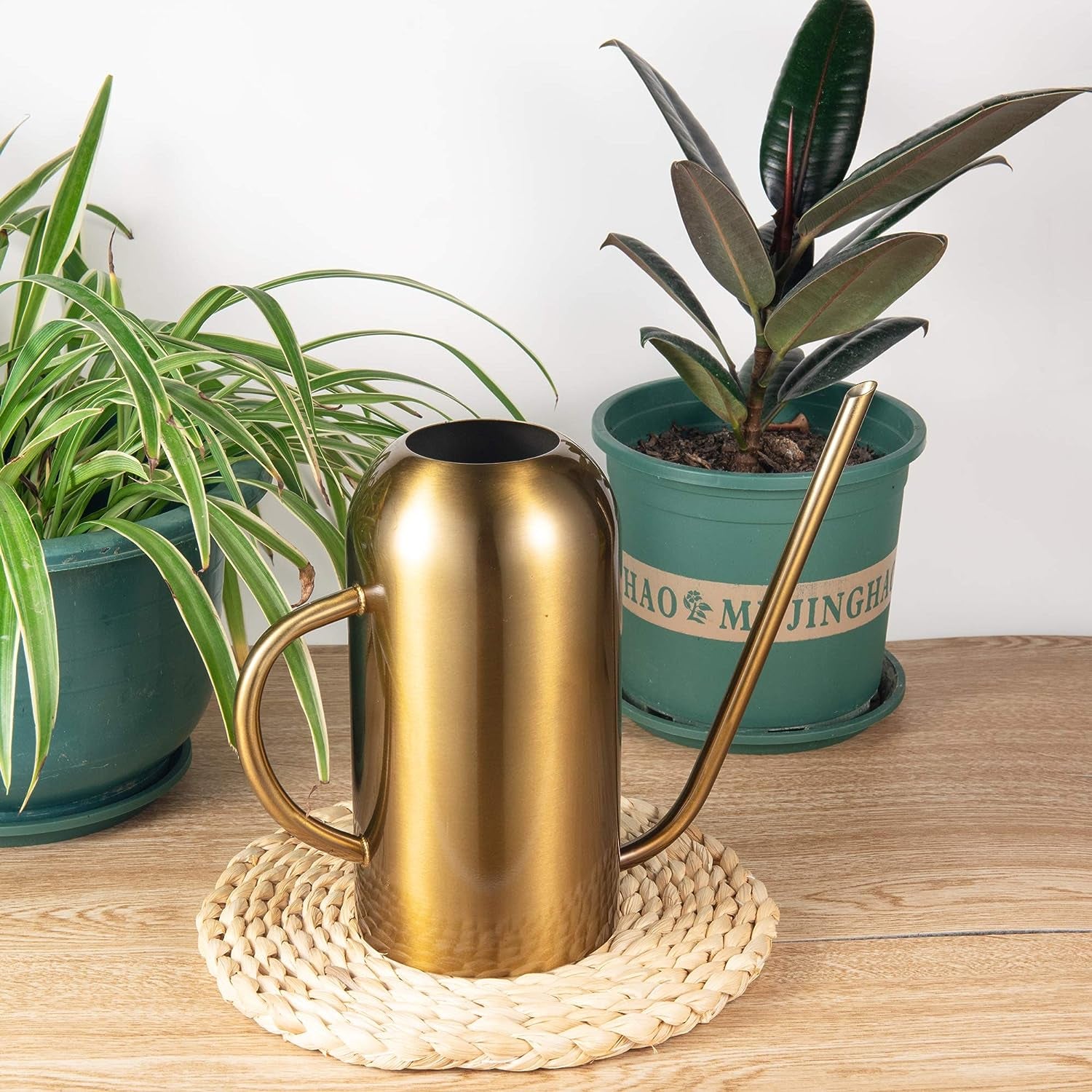 Modern Stainless Steel Indoor Watering Can with Long Spout placed on table